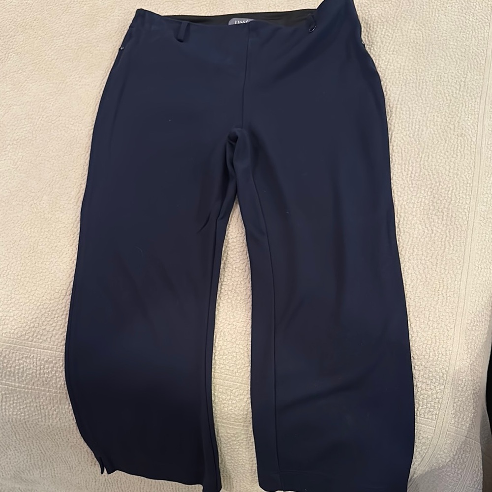 Lysse Women's Navy Pants